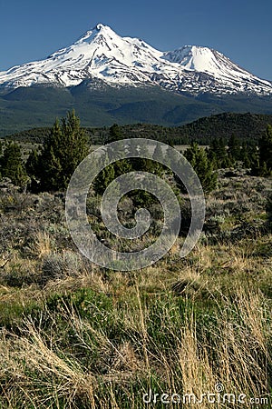 Mount Shasta Stock Photo