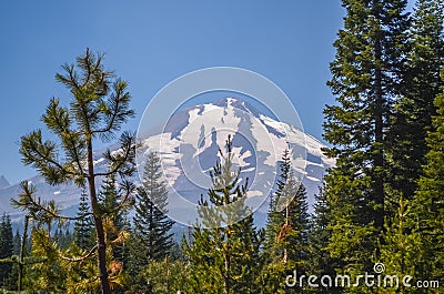 Mount Shasta Stock Photo