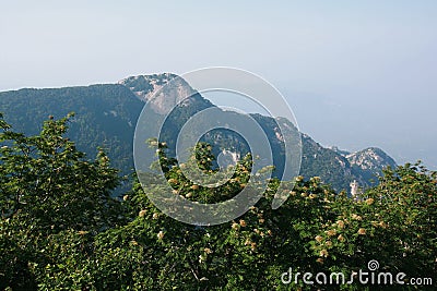 Mount Tai Stock Photo