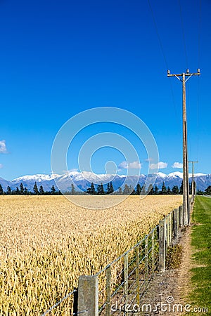 Mount Taylor and Mount Hutt scenery in south New Zealand Stock Photo