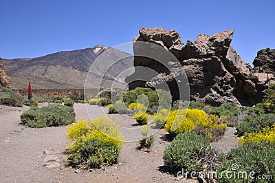 Mount Teide at Canary island Stock Photo