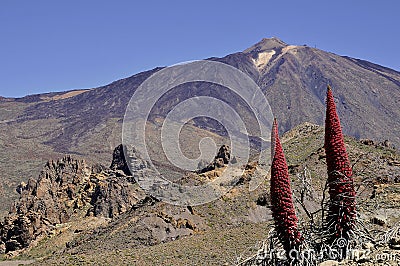 Mount Teide at Canary islands Stock Photo