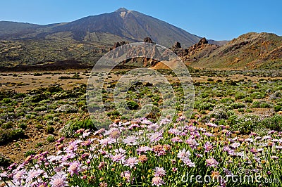 Mount Teide, in Teide National Park, Tenerife Stock Photo