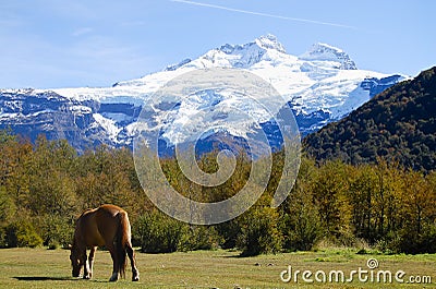 Mount Tronador - Patagonia Stock Photo