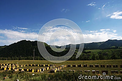 Mountain and apiary Stock Photo