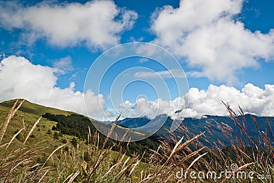 Mountain awn Stock Photo