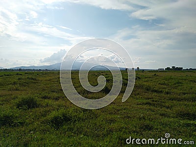 Mountain background and wide expanse of grass during the day Stock Photo