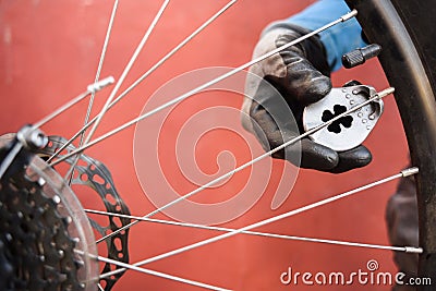 Mountain bicycle repairing. Master fixing MTB rear wheel spokes Stock Photo