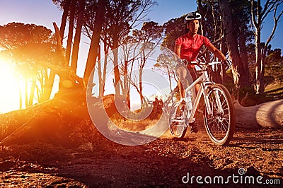 Mountain bike athlete Stock Photo