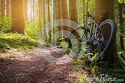 Mountain Bike Stock Photo