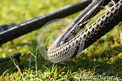 Mountain Bike tire Stock Photo