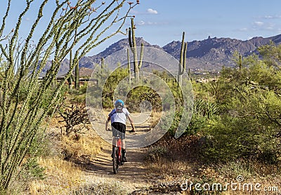 Mountain Biker on Desert trail With Cactus Editorial Stock Photo
