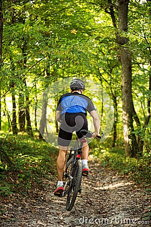 Mountain biker in the forest Stock Photo