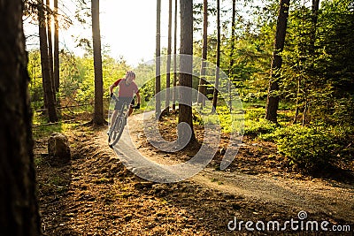 Mountain biker riding cycling in summer forest Stock Photo