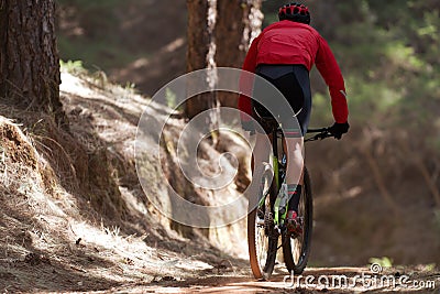 Mountain biking man riding on bike in summer mountains forest Stock Photo