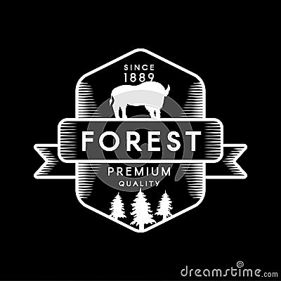 Mountain Camp Forest Explore Graphic Sign Design Stock Photo