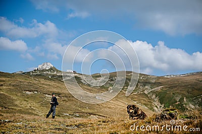 Mountain cliff with dog Stock Photo