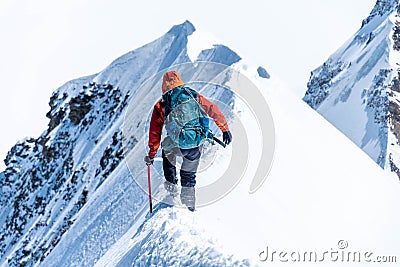 Mountain climber on a steep narrow snow ridge, extreme alpinist mountaineer, Monch, Bernese Alps, Swiss Stock Photo