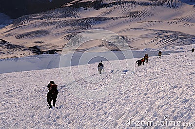 Mountain climbers climbing up Mt. Rainier Stock Photo
