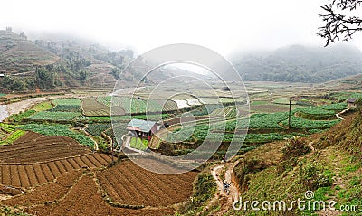 The mountain is covered with fog, and in front of the mountain there were green fields with crops and farms. Sapa Stock Photo
