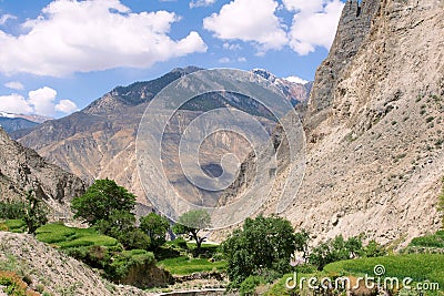 Mountain cropland Stock Photo