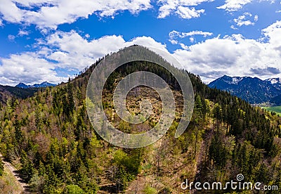 Mountain with damaged forrest. Stock Photo