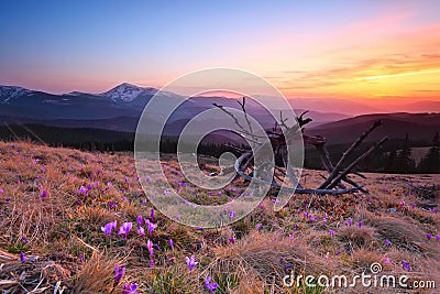 Mountain evening landscape Stock Photo