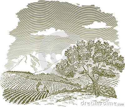 Mountain Farm Field Drawing Vector Illustration