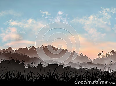 Mountain field area at the evening. Beautiful realistic sunset sky with light clouds and ground with grass, forest and Vector Illustration