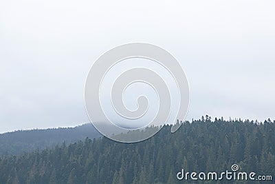 Mountain fog forest, misty foggy landscape. Dark nature mist Stock Photo