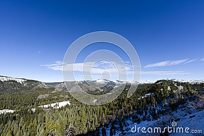 Mountain and fores Stock Photo