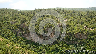 Mountain and forest in Europe in the summer. Green mountain forest landscape. Fantastic forest landscape. Mountain forest in cloud Stock Photo