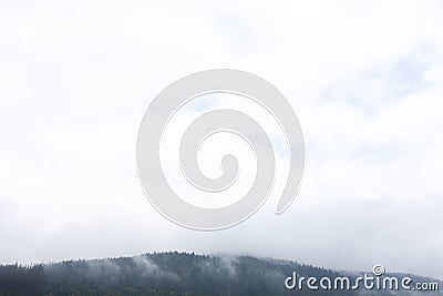 Mountain forest fog, pine tree landscape. Nature woods in mist. Copy space for text Stock Photo