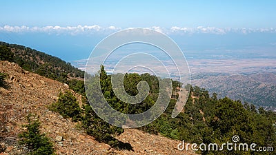 Mountain forest landscape, Troodos nature trail, Cyprus. View from peak Olimbos Stock Photo