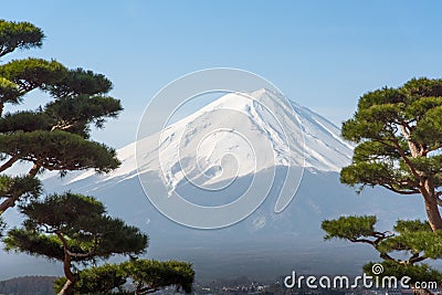 Mountain Fuji Fujisan from Kawaguchigo lake with bonzai tree in Stock Photo