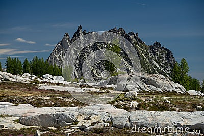 Mountain goats in front of granite mountains in the Alpine Lakes Wilderness Stock Photo