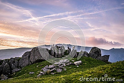 Mountain Goats Stock Photo