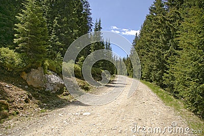 Mountain gravel road Stock Photo