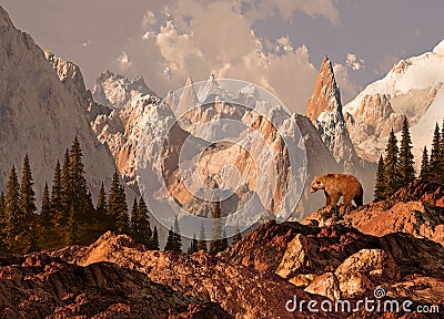 Mountain Grizzly Bear Stock Photo