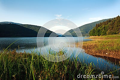 Mountain lake in green forest on blue sky background Stock Photo