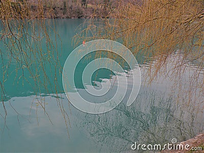 Mountain lake with turquoise blue water and reflection of branches in the water Stock Photo