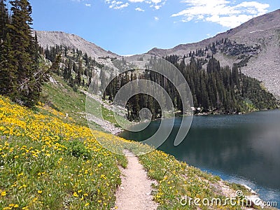 Wildflower walking path around Mountain lake Stock Photo