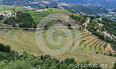 Mountain landscape in altitude in Lebanon green terrace culture in a semi circular shape Stock Photo