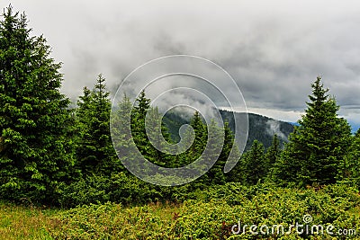 Mountain landscape in Carpathians, Chornogora ridge under clouds, Ukraine, Europe. Stock Photo