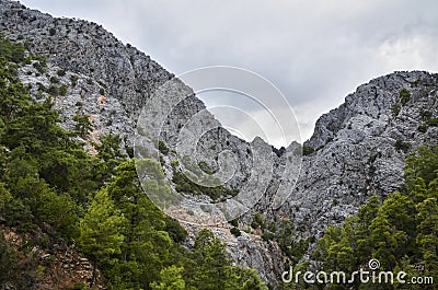 Mountain landscape covered with green vegetation in Turkey mountains. Lycian way is famous among hikers. Stock Photo