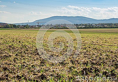 Mountain Landscape crop land Stock Photo