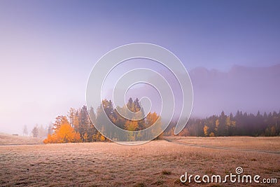 Mountain landscape at dawn. Fog in a valley. Field and forest in a mountain valley at dawn. Stock Photo
