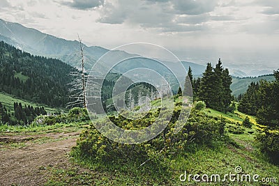 mountain landscape with dead trunks of fir, Almaty, Kazakhstan, Zailiysky ridge Alatau, Almaty, Kazakhstan Stock Photo
