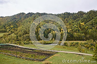 Mountain landscape. Large green forest. Autumn landscape Stock Photo