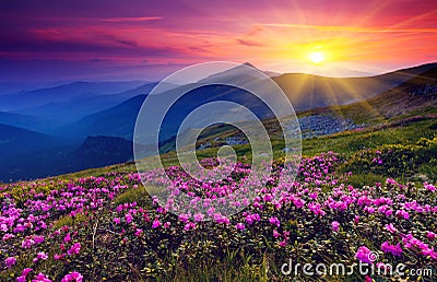 Mountain landscape Stock Photo